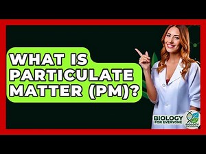 What Is Particulate Matter (PM)? - Biology For Everyone