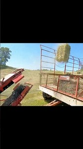 Traditional Hay Harvesting Machine in Action | Grass Cutting & Forage Collection on Farmland