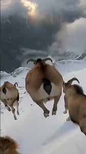 Rocky Ridge Leap – First-Person View