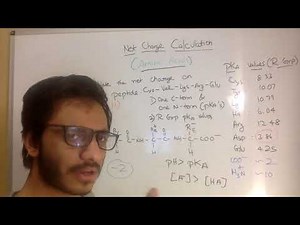 Amino acid Sequence Net Charge Calculation (MADE EASY)