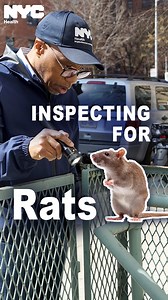 1.4K views | Do you know what happens when you submit a 311 complaint...