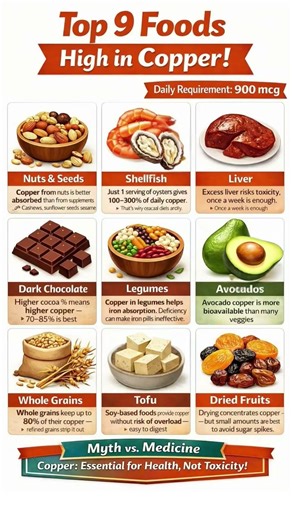 Top 9 Foods High in Copper 🧠⚡