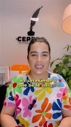 What is the alien number? / ALIEN NUMBER / Alien Number in the United States / I220A