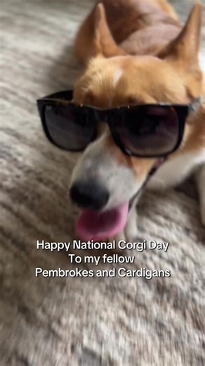 Celebrating National Corgi Day with Love for Corgis