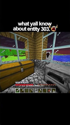 what yall know about entity 303.