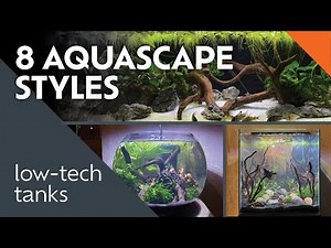 Low-Tech Aquarium Inspiration
