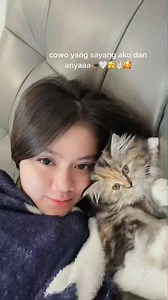 Fluffy Kitten Cuddles: A Cozy Moment on the Couch