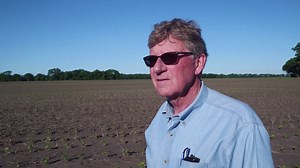 33K views · 371 reactions | We know it takes faith to grow the crop each year. See why Arkansas producer, Larry McClendon, has faith in cotton. | The Cotton Board | Facebook