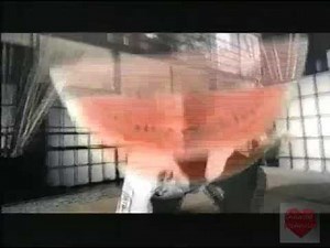 Fruit Gushers | Television Commercial | 2003