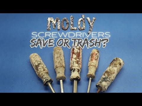 Can I Save These Rotting Craftsman Screwdrivers? Cleaning Stinky Acetate Handles!
