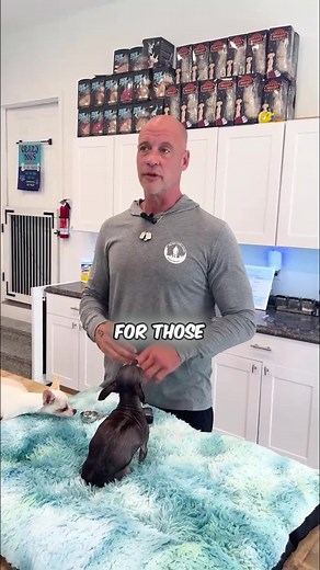 Happy Howl: Fresh Dog Food Without Freezer Storage