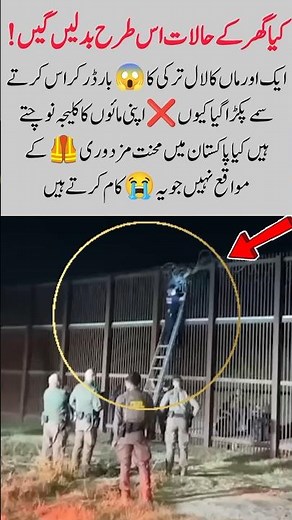 United Kingdom Arrested Donkey Person #shortsfeed #duet #ytshorts #wedding #inspire #education #news