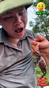 Phát hiện Hang Cua và cái kết phần 2 #batcua #catchcrab #vlogdongque #funny