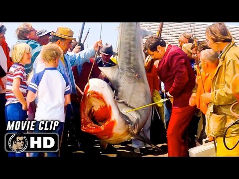 Tiger Shark Scene | JAWS (1975) Movie CLIP HD