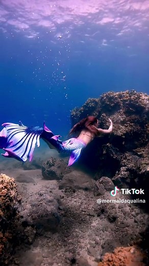 Mermaid Aqualina on TikTok