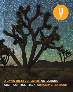 273 shares · 62 comments | Still haven’t tried us out? Sign up today to start docustreaming for only $2..99/month. | Curiosity Stream | Facebook