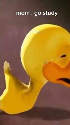 duck crying meme