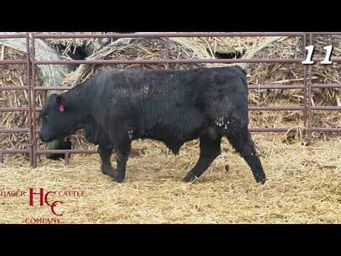 LOT 11 - AHCC 7067N