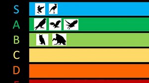 The Rodent Tier List