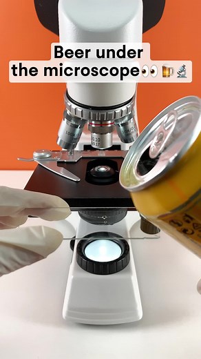 Exploring Black Label Beer Under the Microscope