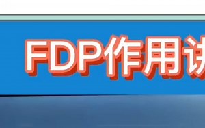 FDP作用讲解