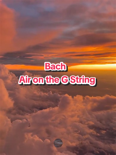 Publicación 9 #aironthegstring #bach #classicalmusic