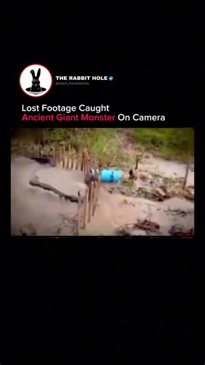Lost Footage Shows An Ancient Giant Snake Caught On Camera | The Rabbit Hole