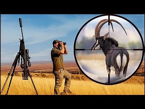 Epic Sable Antelope KILL SHOTS