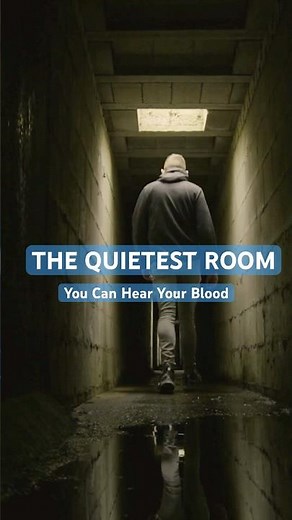 There’s a Room So Quiet You Hear Your Own Blood 😳 | Orfield Lab