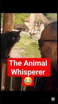 The Animal Whisperer😂#animals #funny #pets #cat #comedy #animalwhisperer #cute #shorts #viral #fyp