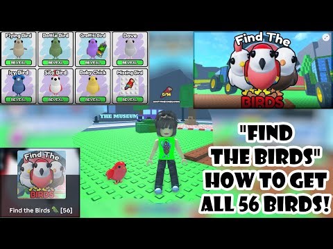 “Find the Birds (56)” Roblox. With Timestamps!!!