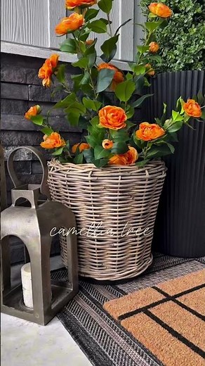 Best Amazon Home Finds This Month: Affordable, Chic & Timeless!