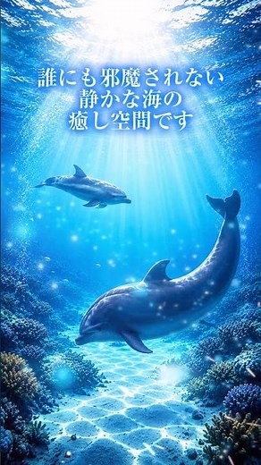 [環境音/ASMR] イルカと泳ぐ水の中の音【黒画面・8時間】水/イルカ/集中/リラックス/睡眠導入/安眠/作業用