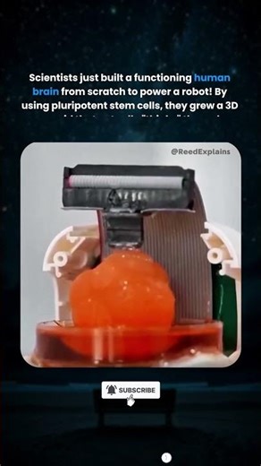 This Robot Has a REAL HUMAN Brain