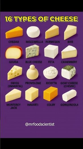 16 Types of Cheese You Must Know🧀#healthyeating #healthyfood #healthylifestyle #food #health #fypシ