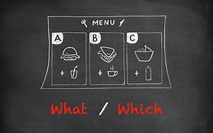 疑问词 What 和 Which 的不同用法 [基础篇][代词]