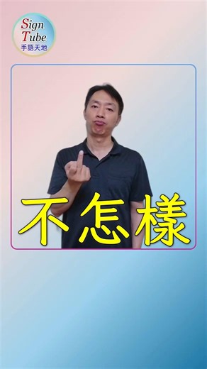 頭腦好 頭腦差 頭腦不怎樣 手語