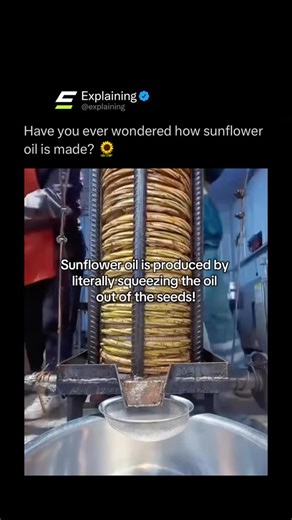 Explaining on Instagram: "Sunflower oil is made by extracting oil from the seeds of sunflowers — a process that turns tiny seeds into golden cooking oil. 🌻💧 First, the harvested seeds are cleaned and dehulled, then crushed or pressed to squeeze out their natural oils. In large-scale production, a mechanical press or expeller applies tons of pressure, and sometimes the leftover seed cake is treated with solvents to extract any remaining oil. ⚙️🌾 The raw oil is then refined, filtered, and purif