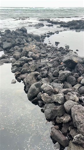 Black sand beaches ✔️ Wild sea turtles ✔️ Hawaiʻi, you’ve already stolen our hearts 🐢🖤 #Punaluu #HawaiiBucketList #BeachTok #BigIsland