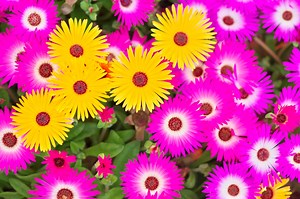 2/3 「～の」だけではないofの本当の意味とは？ [トラベル英会話] All About