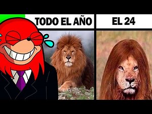 20 MINUTOS de MEMES RANDOM🤣😎 #2