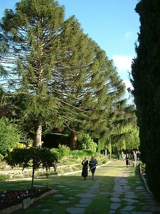 Stirling - Alchetron, The Free Social Encyclopedia