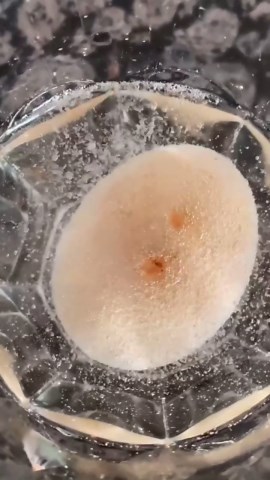 The Surprising Reaction of Egg and Vinegar Science Experiment