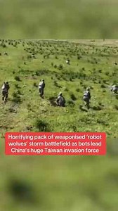 Terrifying Moment Robot Wolves Storm Battlehield in Taiwan