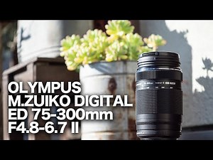 OLYMPUS M.ZUIKO DIGITAL ED 75-300mm F4.8-6.7 IIレビュー
