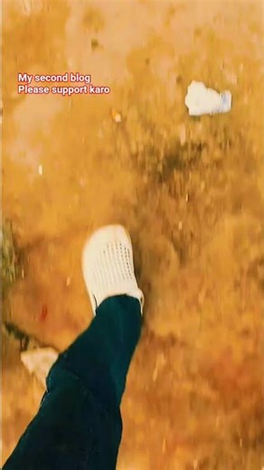 My second blog please support karo please like comment subscribe karo 🥺