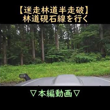 【公開動画】 林道硯石線、魅惑の分岐林道を行く【ジムニー】 #Jimny #automobile #オフロード #JB23W