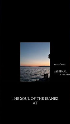 Silent Flower – The Emotional Finale Oldfield Vibe 🎸