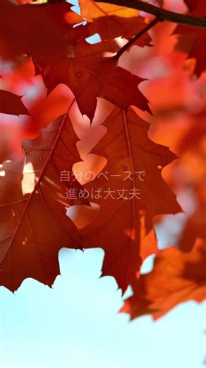 たった一言で、心は軽くなる ここは【DailyQuoteRoom】。 毎日、あなたに寄り添う言葉を届けます。 💡 保存して、疲れたときに見返してみてください。 その一言が、あなたの背中をそっと押してくれるはず。 #心に響く言葉 #名言 #ポジティブ #哲学 #幸せ CANVA