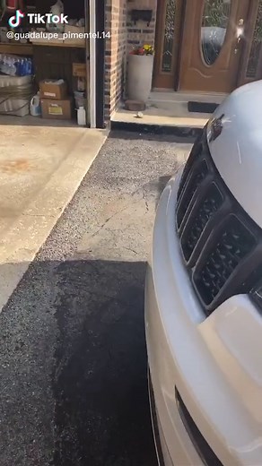 TikTok - Make Your Day